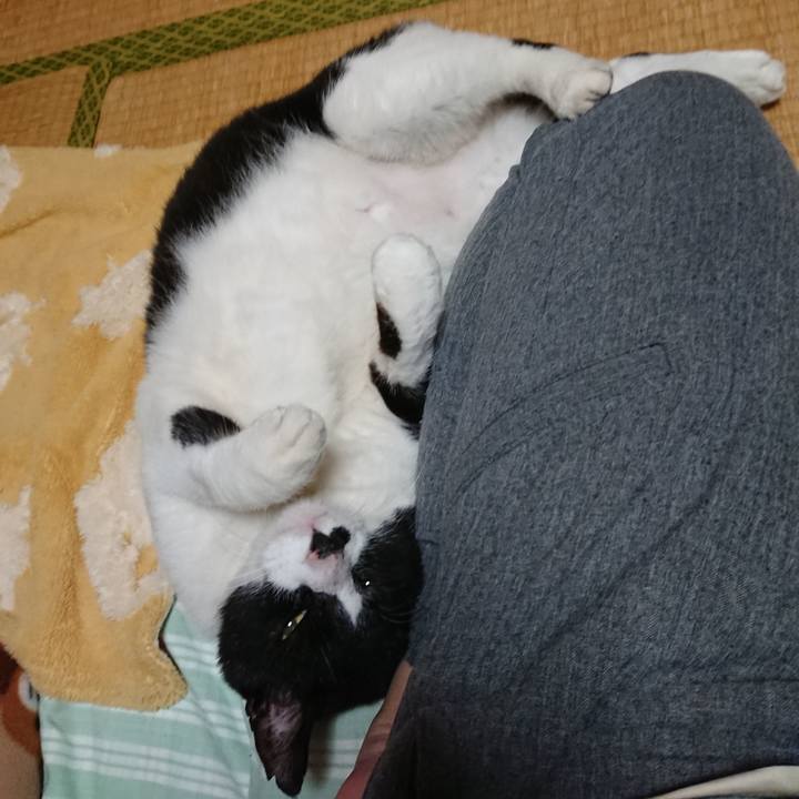 4a958a30 061e 4d15 a8c4 a81b39052f32 1574087801762