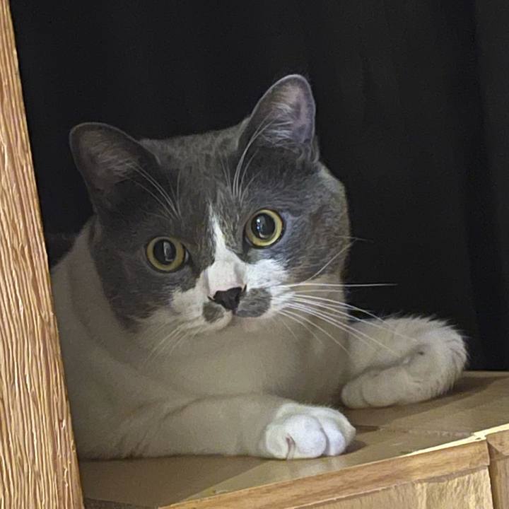 4a95be5c dc9e 4569 b594 e763bf33a6a9 1660395050278