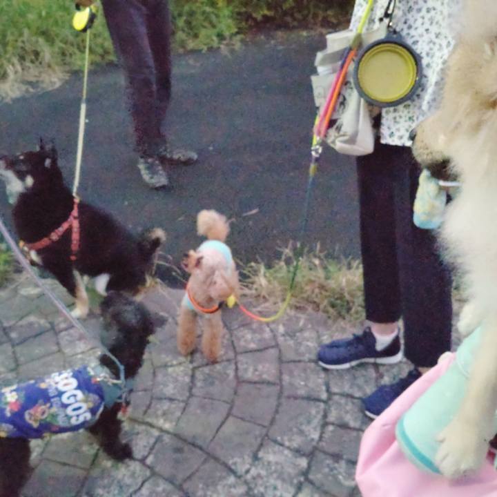 4a960393 03a1 4475 8f28 c83f52258c01 1725760276171