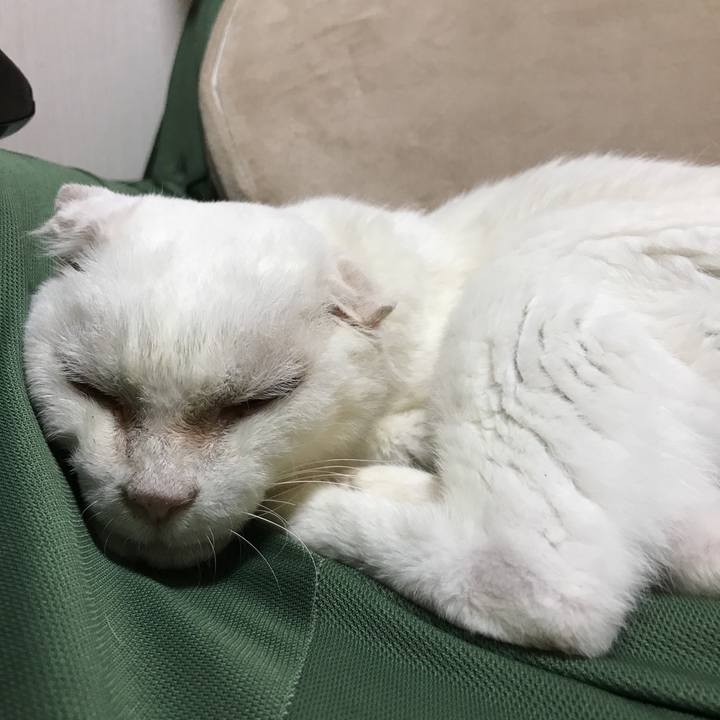 4a9651ed 0bff 47a8 980e 5fa54ac6100b 1536665860429