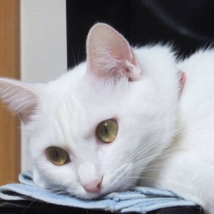 4a968044 26bd 48ac b2b6 115f5ea56e2d 1646647919182