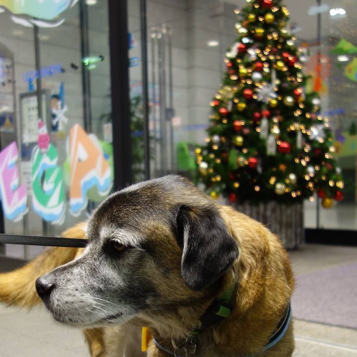 4a9690ec eebc 4869 9343 e29915f99496 1545303712384