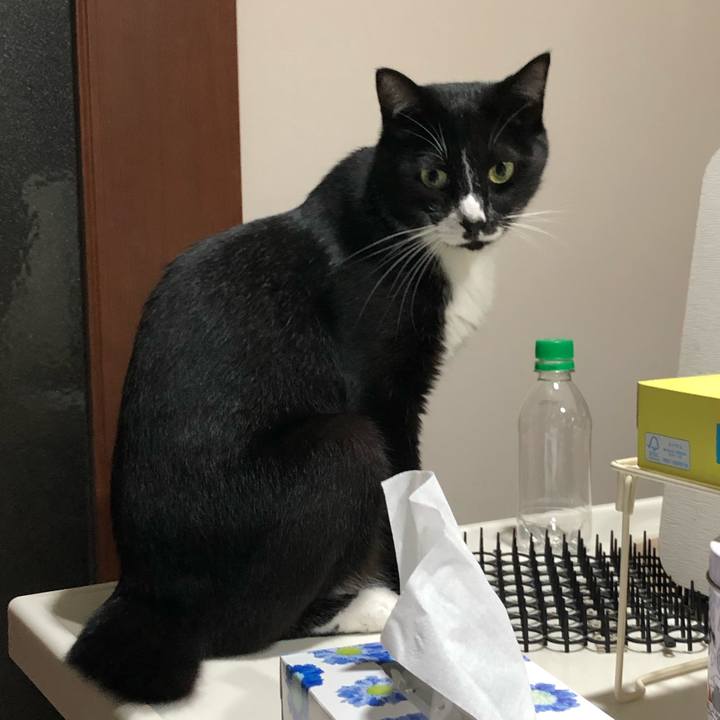 4a969ce5 b55a 4407 9c1e 513abb993d37 1568260132557