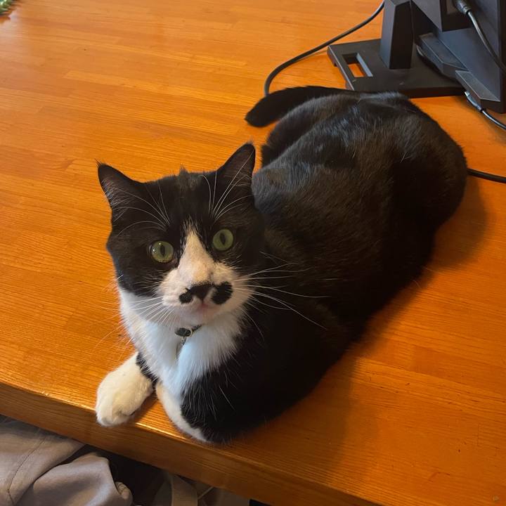 4a96a0aa 41de 4c9d ab72 d538061a8c0c 1721713079135