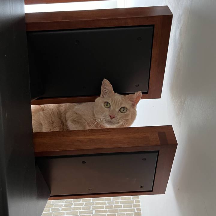 4a96b089 7602 4195 b87c 65d513845371 1728620603725