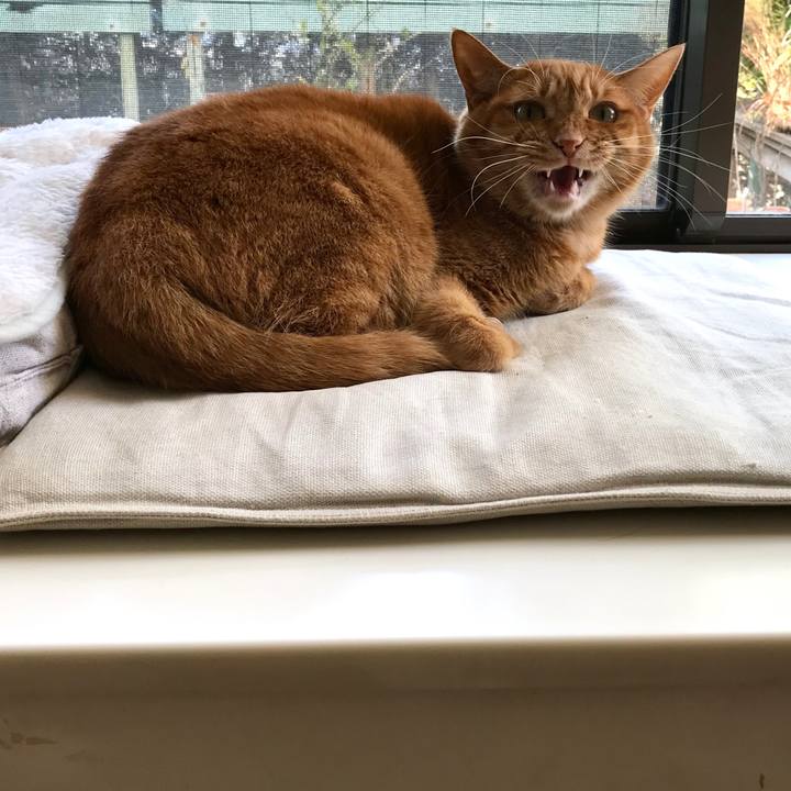 4a9701f5 6b50 4452 bde2 97976be149fe 1513138409934