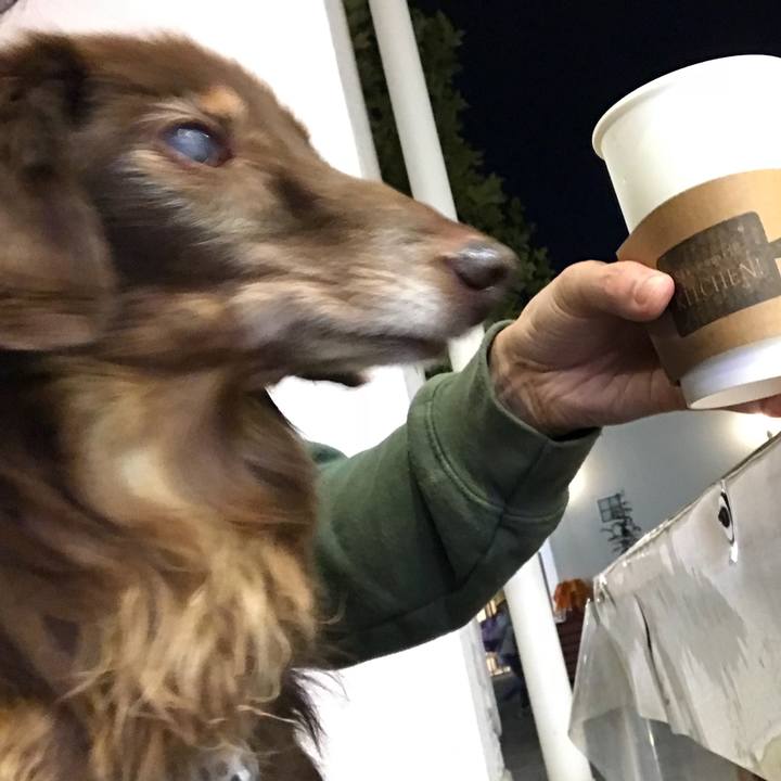 4a9736ee dd4b 4afb 8b20 55ede1abd685 1509958075712