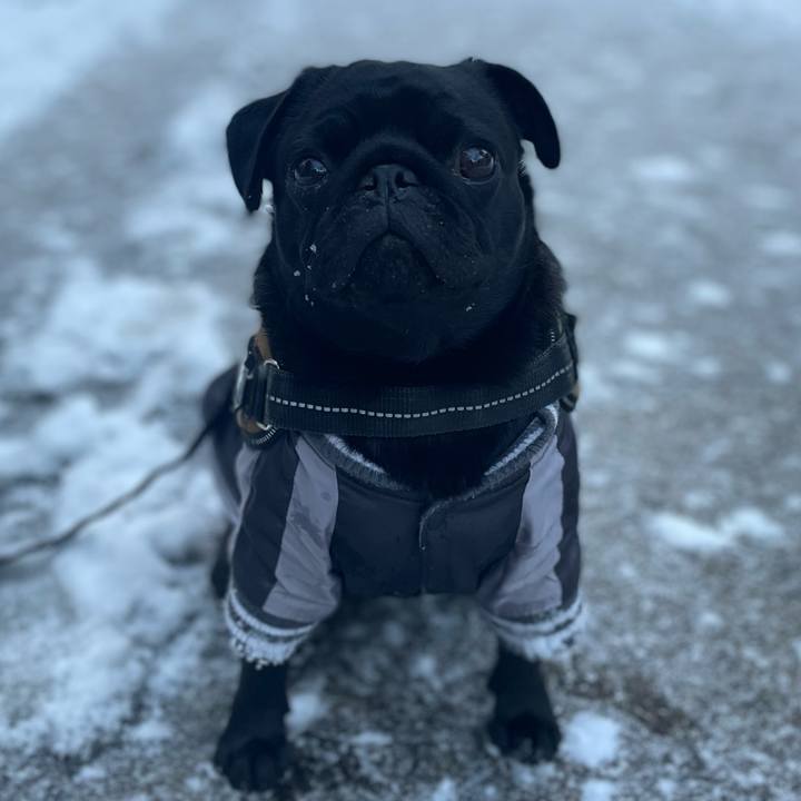 4a97599a 220a 43e8 a673 1a2209cf65ad 1641811167246