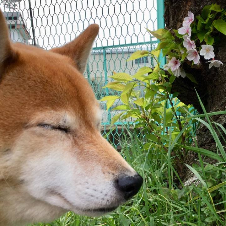 4a975d45 6429 44a6 91ac 63b0a4c8fba0 1586225692927