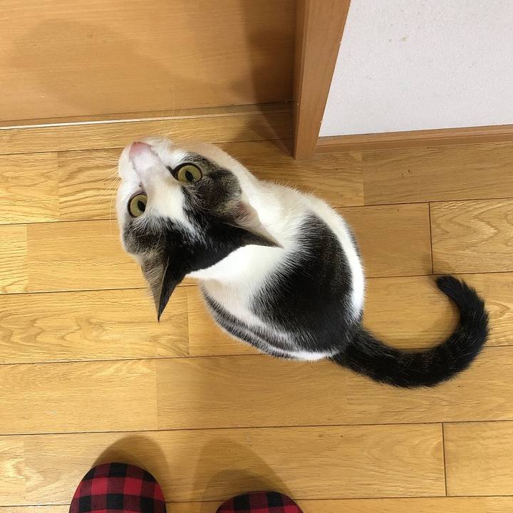 4a97795c 3dbf 4197 8291 ebb380a289b6 1649069104559