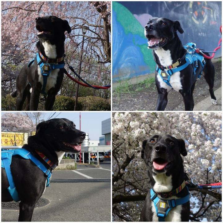 4a979158 bb45 4165 9994 f7e52c5da480 1617150501054