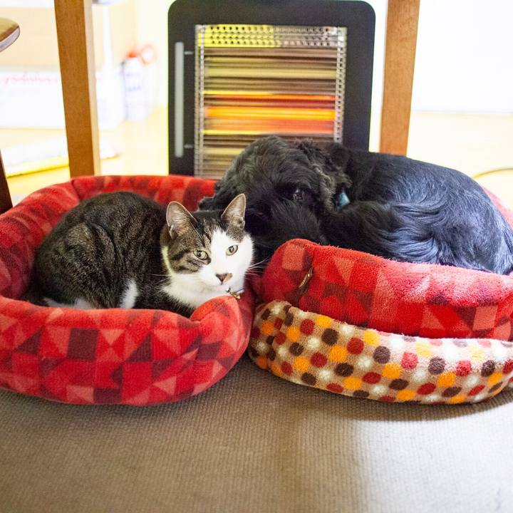 4a979173 e9aa 4ba1 a105 485a7ad0c02f 1581071354759