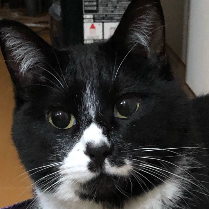 4a97bb5d 3653 4388 8ee6 d5960dffd691 1618639539952