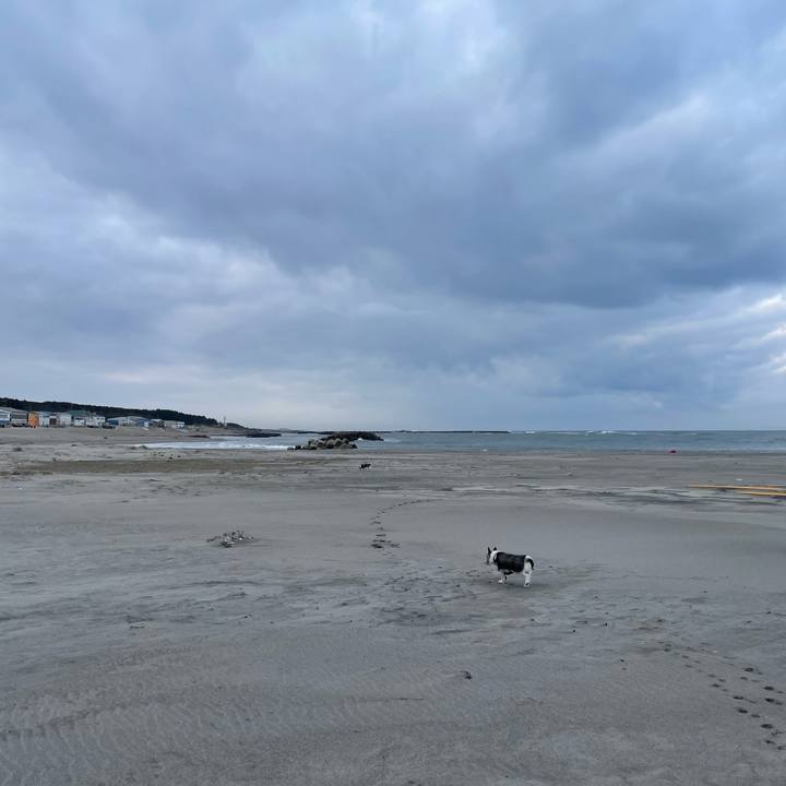 4a97d6e3 bf56 442f aa9c 80315d0c719a 1741390617767