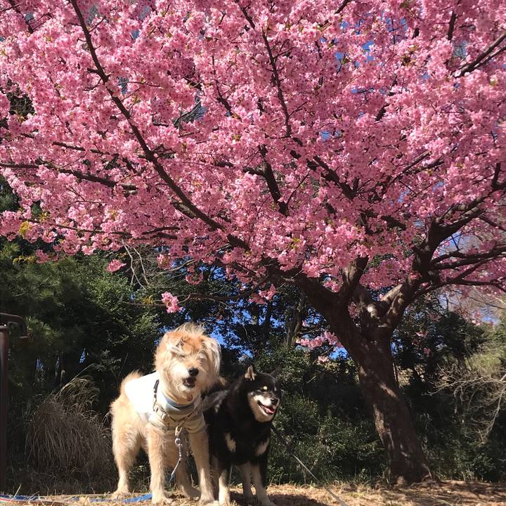 4a98613a 6aa3 4e99 b402 29431230a53c 1614254652362