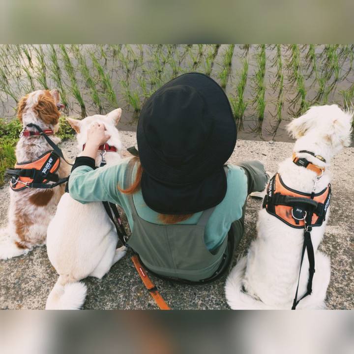 4a9871f5 b29d 4c94 bc82 ae542105c8ba 1687263810460