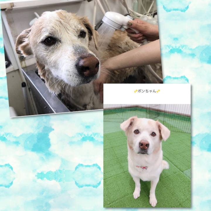 4a98857b a22f 49f1 a791 dd63d254a0ac 1673921608838