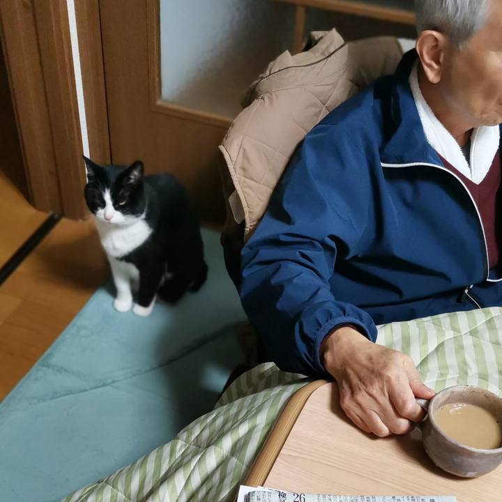 4a98863f 97b6 4d51 a53f 56645ad3e2f3 1711682786709