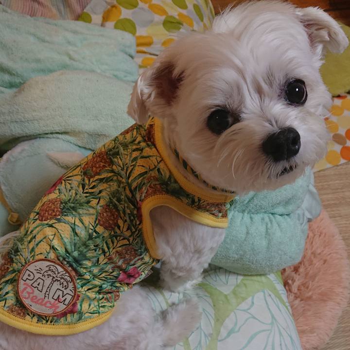 4a98a207 cbcf 4266 9332 cdbf159ebc6f 1597653514487