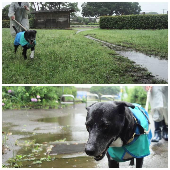 4a98f58e c725 40ec 8c55 d7f6abc70d7b 1685755408248