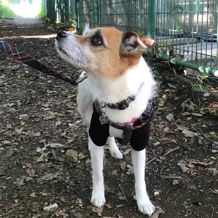 4a99062b 1fd2 42d6 bf10 e2e0d20ed2b6 1525565872670