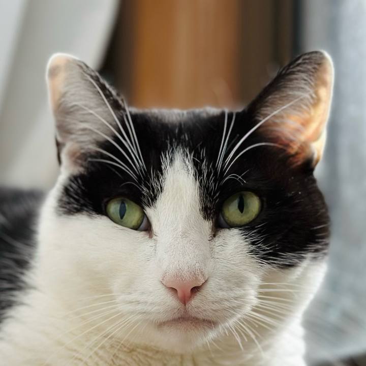 4a9916d4 7504 4364 ae02 9ebd7f3cb6cc 1707789128016