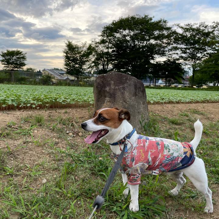 4a991aff 3a6b 4c32 b80c 5ae1dfdf9519 1627987262687