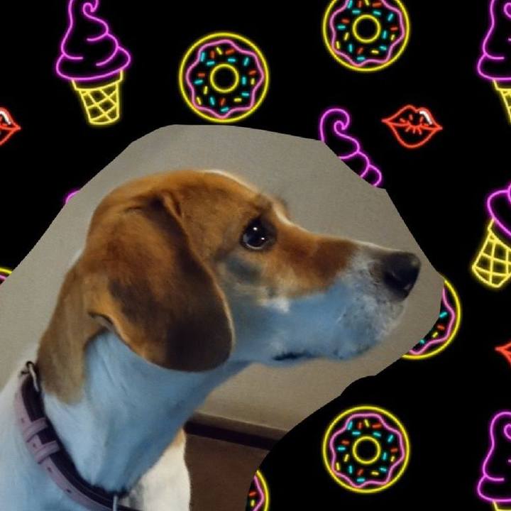 4a993a3a cc99 4ec3 b0ba c67090d25699 1587737280660