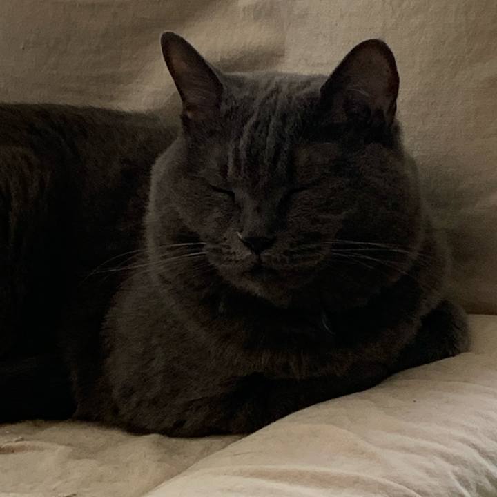 4a993dd2 2560 4efc 90e1 fc645f725aaa 1667437497408