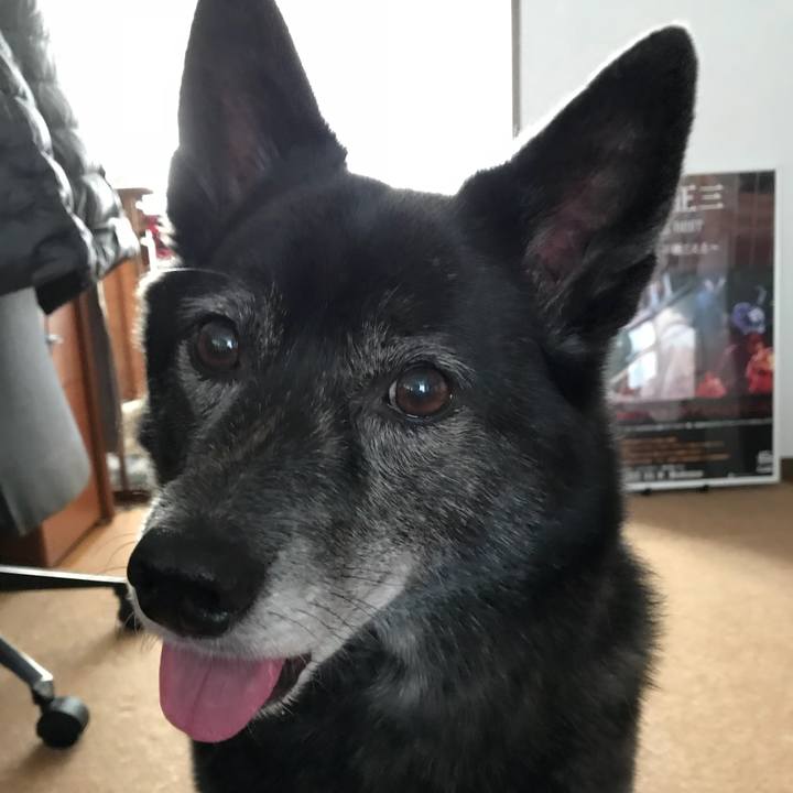 4a995bb9 1d9e 4294 b9f7 7bfcc65e7c8b 1513760589394