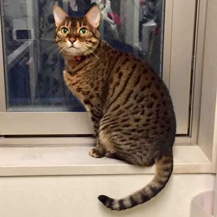 4a99790b 36ba 4fa0 85dd 417c07511945 1519268084574