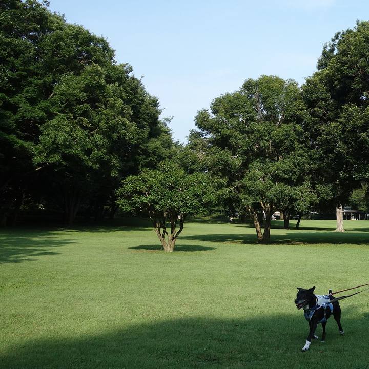 4a99b59d e46c 4e07 8a64 b082bcbd3b3b 1751329184827