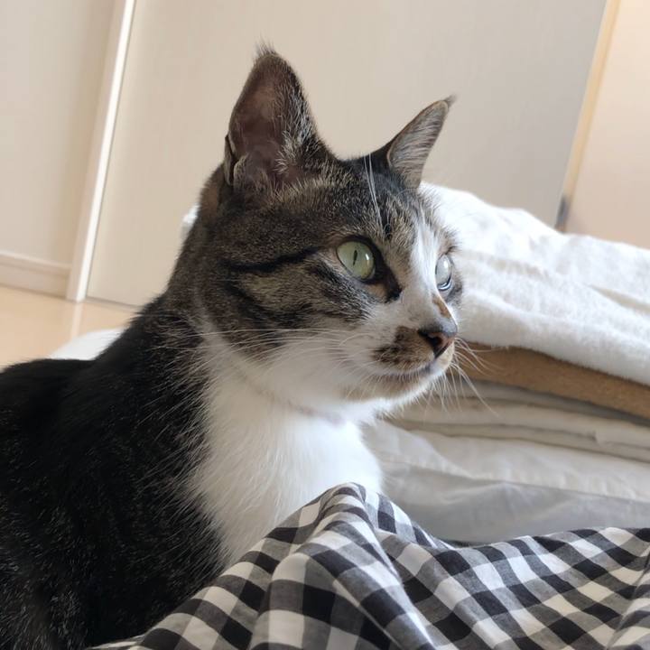 4a99df5f 5af6 4ed7 b662 2ec6db2fee89 1523399870346