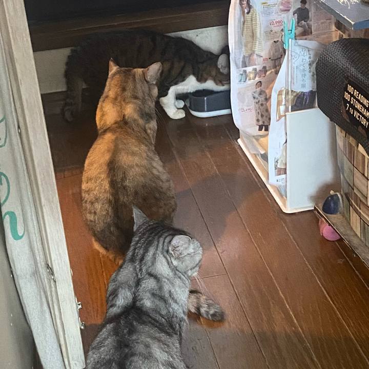 4a9a2034 40e2 4173 b870 dce8f8181a47 1729981127745