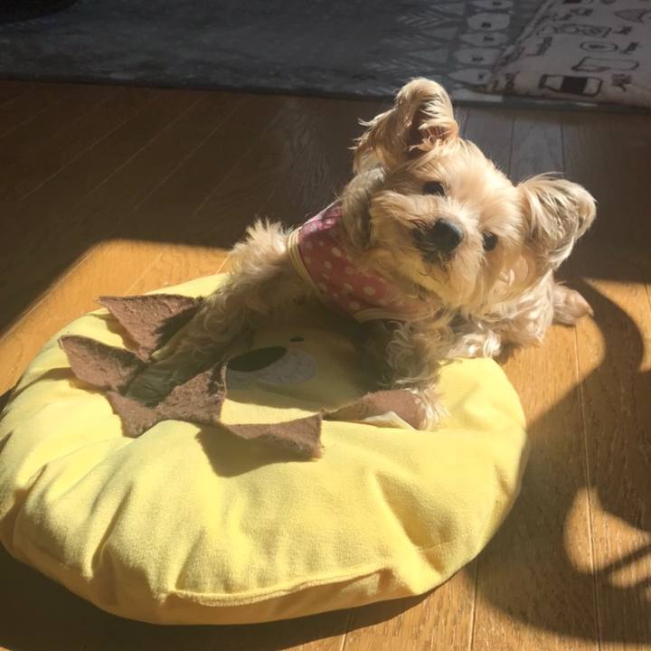 4a9a29b0 3400 4b76 8584 794f249b84f7 1584523625370