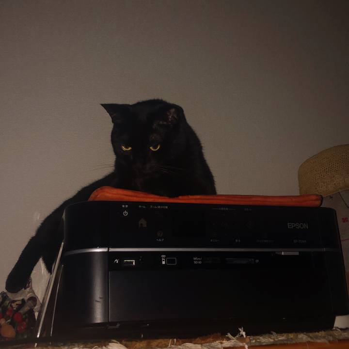 4a9a4ac1 441a 4b6b a6cd 9f2ae0d6b906 1571307936602