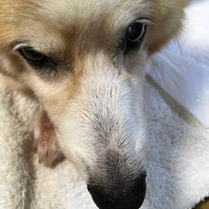 4a9a52aa a6d8 4d45 9215 a7912c9db9ec 1566977039548