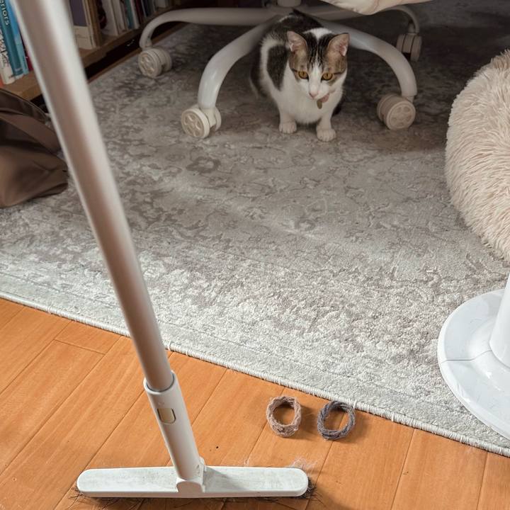 4a9a96bf 809f 40d4 8da6 39ca1088f7fd 1773903218996