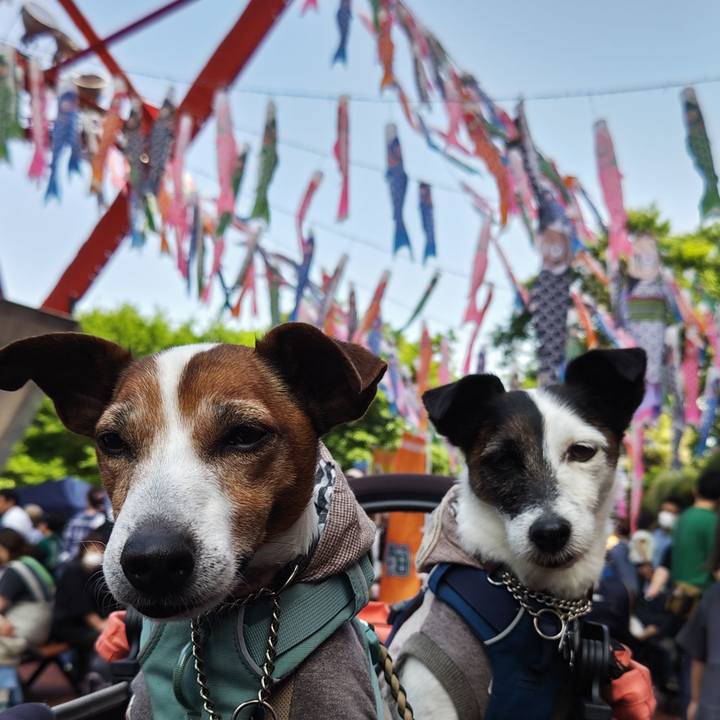 4a9aa85c a461 4b66 9ed8 e041038d1d15 1746338856003