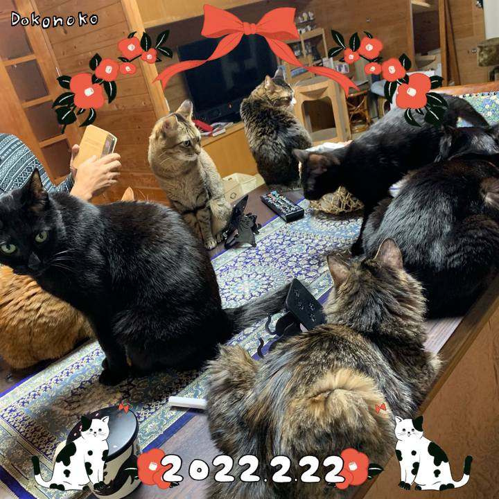 4a9ab693 45d9 49a9 b5f9 18064db151e8 1645491063974