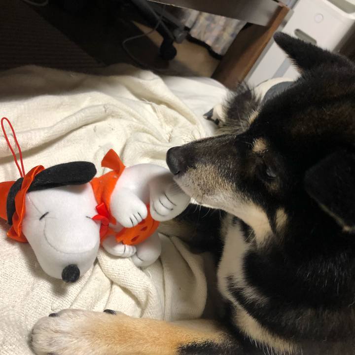 4a9b2f0e e259 4f40 8543 2abe119ea5f3 1540981786336