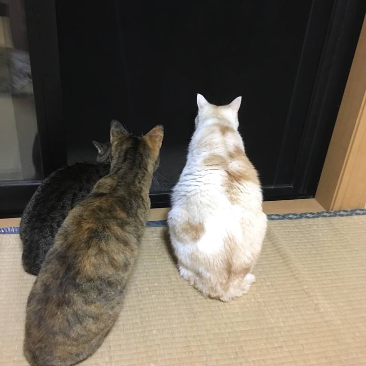 4a9b7cc5 b40d 452e 8104 0f0ca80e9ab6 1521899798757