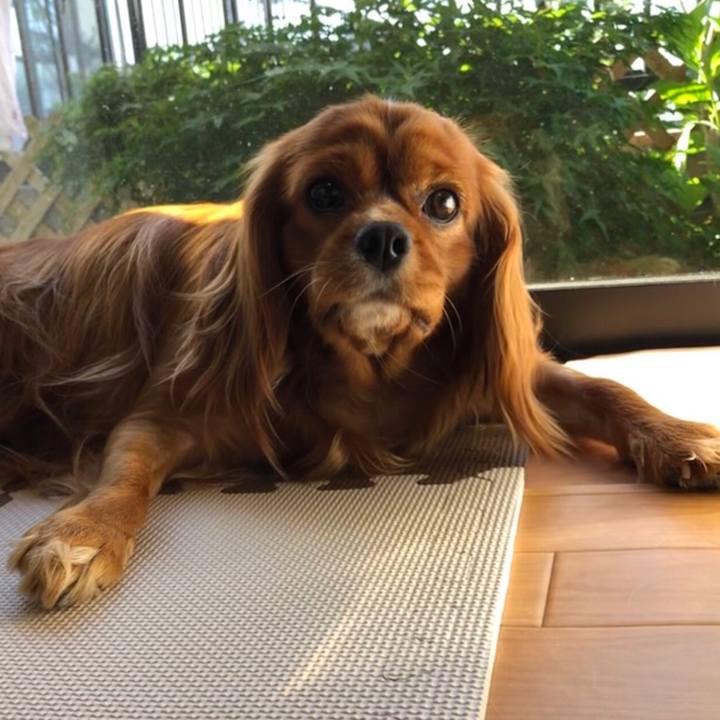 4a9b91ac 746a 40ea b8f5 909dd1a58ca6 1558649886354