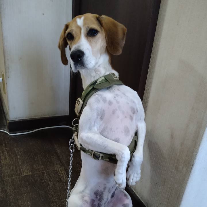 4a9b9201 244c 45a3 a756 1227f7409e73 1666759773068