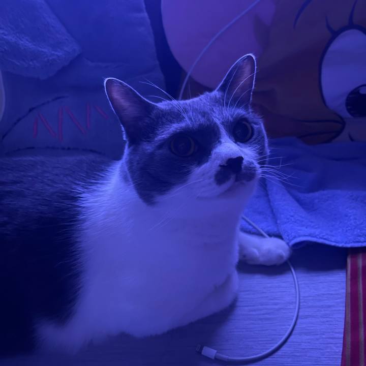 4a9b95e2 7acf 48f8 98c2 e908e5c1c893 1755019432410