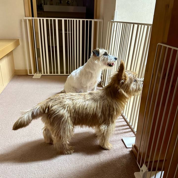 4a9b99ad 69cc 4aad a695 7dc23ac0b697 1723389865028