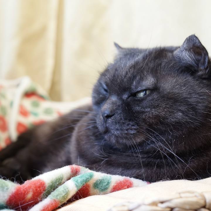 4a9bb992 1173 4d29 8dca 6f08aefb1367 1579597974222