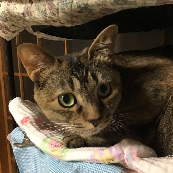 4a9be6f0 e85b 4394 b2d9 57bd2ef87fb4 1656683458846