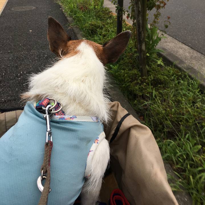 4a9bfa98 da4b 47af be8c 2504eb22ff71 1662165242518