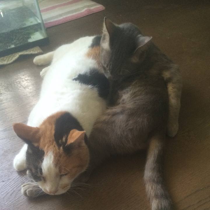 4a9c1756 b1d3 450d 90b5 9df7a8284f56 1564199836082